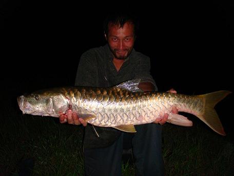 �o�C�N���E����ށ[��񂮁@�T�n�[���摜