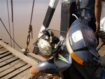 アサード 意外と火がつかない